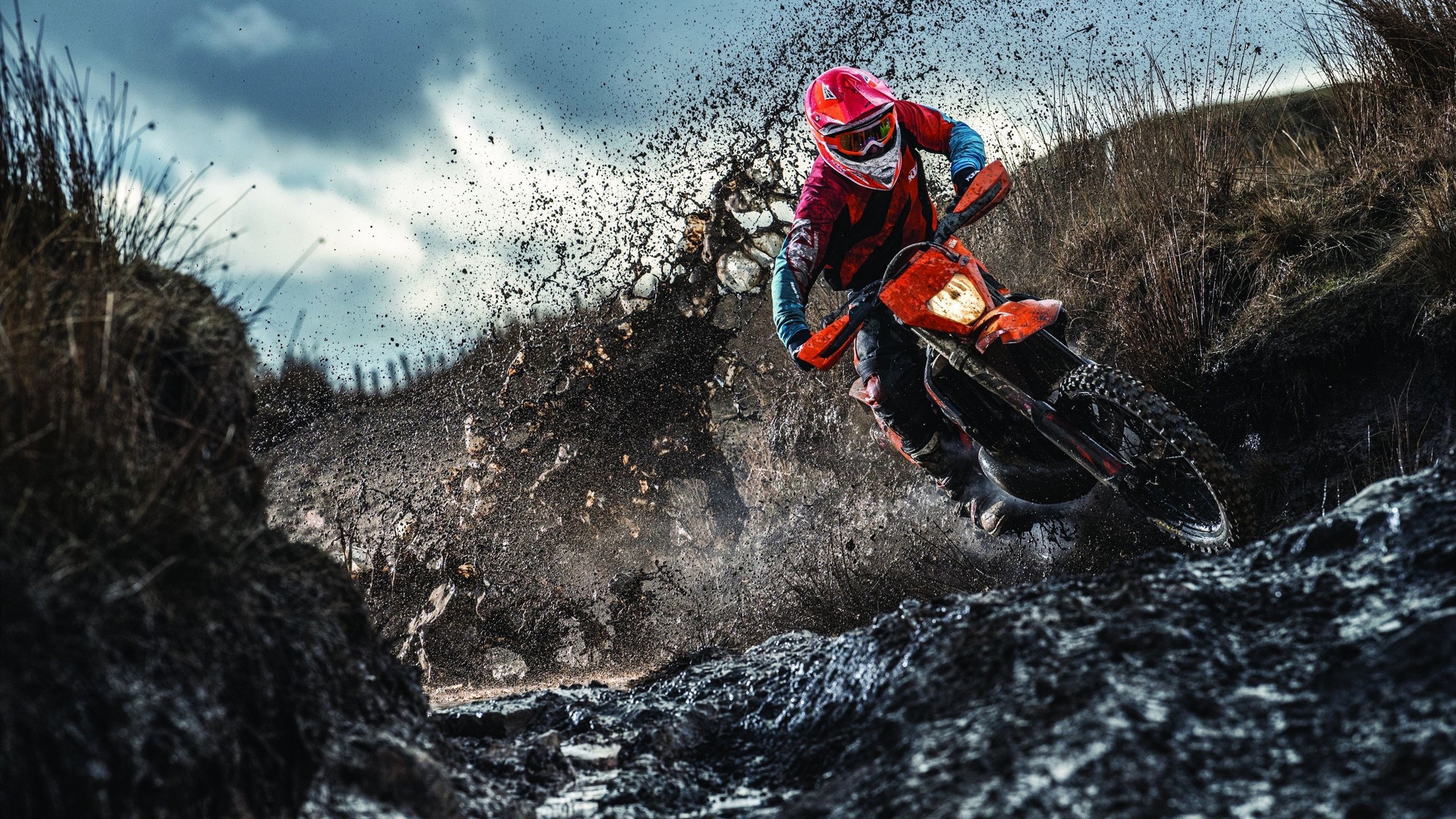 未来策略：联盟全球化、多元化新布局，多元化体系联盟中的联盟国家以坚持自卫立场的关系出现